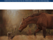 Tablet Screenshot of practivet.com